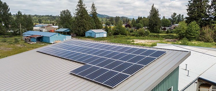 Rooftop solar panel array